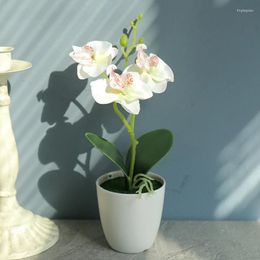 Decorative Flowers Artificial Flower Mini Phalaenopsis Small Bonsai Plant Interior Decoration Fake Home Office Creative Decor