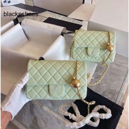 Chanellly CChanel Chanelllies flap Sling CC Woc Crossbody bag Bag Tote Cf Bag Handbag Designer Shoulder Bag Classic Quilted Bag Women Bag Fashion Caviar Little Golde