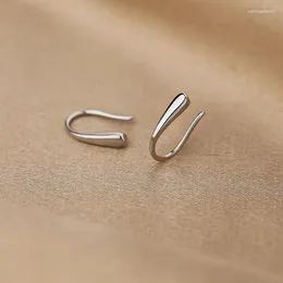 Stud Earrings Water Drop Type 2024 Fashion Niche Design Advanced Sense Nourishing Ear Piercing Simple