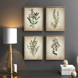 Classic Vintage Plant Canvas Painting Vintage Plant Flower Posters and Printmaking Wall Art Images Home and Living Room Decoration J240505
