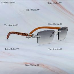 Designer Sunglasses Vintage Carter Mens Eyewear Outdoor Beach Sun Glasses Retro Rimless Gafas Para El Sol Ee Mujer Tiger Wood 012 Sier Frame Original edition