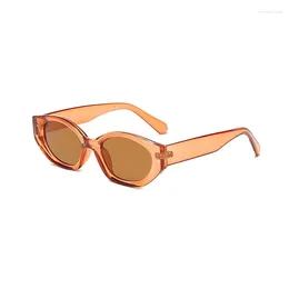 Sunglasses Fashion Cat Eye Women Brand Designer Oval Sun Glasses Female Colourful Vintage Eyewear UV400