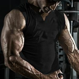 Men's Tank Tops 2024 Big V-neck Sports Fitness Quick-drying Vest Sleeveless T-shirt Clothing Training Muscle White M-3XL