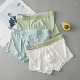 Underpants Men's Underwear Solid Colour Lightweight And Breathable Modal Sports Flat Corner Pants Short Boxers PS807