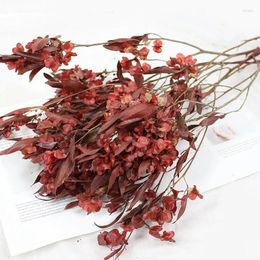 Decorative Flowers 80g Natural Butterfly Orchid Dried Flower Dry Preserved White Grass Bouquet For Rustic Home Decor Wedding Accessorie