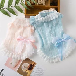 Dog Apparel Thin Breathable Pet Princess Dress Summer Vest For Puppy Small Medium Clothes Fresh Dresses Chihuahua Silk Ribbons