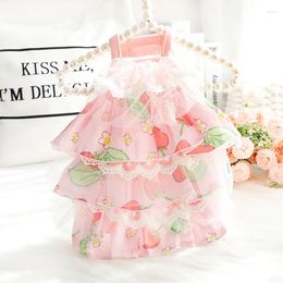 Dog Apparel Summer Thin Section Pet Princess Dress Cute Strawberry Print Lace Chihuahua Yorkshire Small Clothes