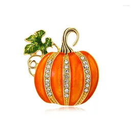 Brooches Vintage Fruit Pumpkin Brooch Literary Oil Painting Series Flower Basket Pin Women's Fashion Coat Jacket Suit Accessories