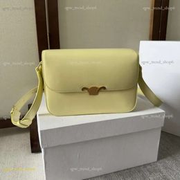 10A 22K Trionfi a Trionfi Bag Spalla Designer Mini Bags Classico Envelope Messenger Guocere Guida in pelle di alta qualità 229