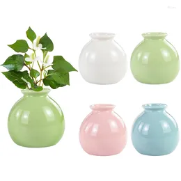 Vases Mini Ceramic Flower Vase Round Hydroponics Plant Pots Home Decoration Wedding Desktop Decor Office Garden Ornaments
