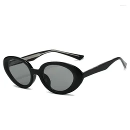 Sunglasses European And American Oval Flat Core Ins Trendy Hip-hop For Women TR Small Frame Glasses