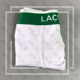 Fashion Designers Brand Mens Boxer Men Underpants Brief For Man Underpants Sexy Underwear Mens Boxers Cotton Underwears Classic Letter Shorts Male 698