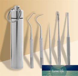 5pcs Stainless Steel Portable Toothpick Oral Care Toothpick Holder Tool Set9177468