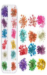 Nail Dried Flowers 3D Nail Art Sticker for Tips Manicure Decor Mixed Accessories Nail Flower Decorators for Salon4187060