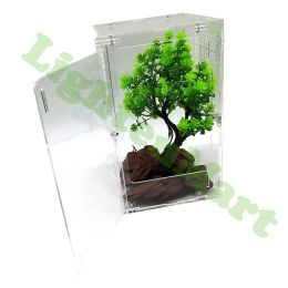 Terrariums Acrylic Reptile Cage Breeding Box Terrarium Spider Lizard Scorpion Centipede Horned Frog Gecko Cage (15 * 15 * 25cm)