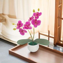 Decorative Flowers 1pc Mini Phalaenopsis With Vases Rain Flower Stone Orchid Simulation DIY Creative Artificial Plan