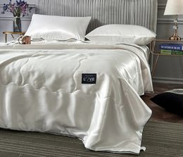 Silk Like Summer Quilt Imitation Smooth Thin Air Condition Comforter Solid White Blanket Double Single Size for Adults 150200cm 240506