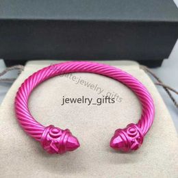 twist Designer Luxury Bracelet colorful Women Retro 925 cable Silver plated Ethnic Circle Men Punk style Gold bracelets Designers jewelry Suitable wrist 15-20cm ZOU