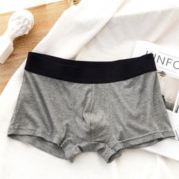 Underpants Men's Sexy Underwear Threaded By Modal Thin Breathable Boxer Comfortable Summer Shorts U Convex Pouch Panties