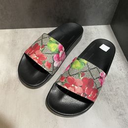 Designer Men Sandals Slifor Blooms Floral Slide Sandalo Slide in gomma per bambini Web Sandal Sandal Slide Slide Tiger Ape Slipper