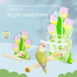 Perches Parrot Stand Perch Acrylic Stand Pole Tulip Flower Playground Bird Accessories House Fashion for Cage Parakeet Budgies Colorful