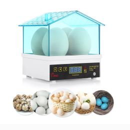 Accessories 4 Eggs Mini Incubator Chicken, Duck, Turtle and Bird Eggs Small Incubator Household Automatic Constant Temperature Incubation