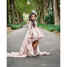 Lace Flower Dresses Girls' Pink Low High Long Sleeves V Neck Appliqued With Train Tulle Girl Pageant Ball Gown Kids Formal Party Dress