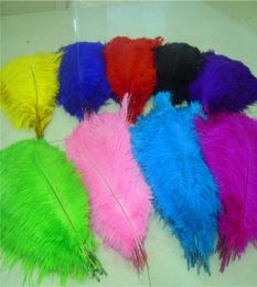 whole 100pcslot 1416inch White black light pink pink red royal blue turquoise ivory purple Ostrich Feather Wedding cente5776952