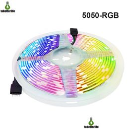 Led Strips 5050 Rgb Strip Light Dc12V 30Led/M 60Led/M Flexible Tape Lamp Waterproof Non-Waterproof 5M Decoration R/G/B/W/Ww Drop Deliv Dhchn