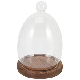 Storage Bottles Vase Egg Glass Cover Clear Display Dome With Wood Base Creative Decor Dust Transparent