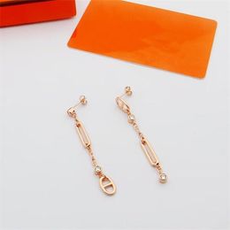 European and American cross-border new AB pig nose eardrop S925 silver gold-plated ins wind simple texture long women's earrings