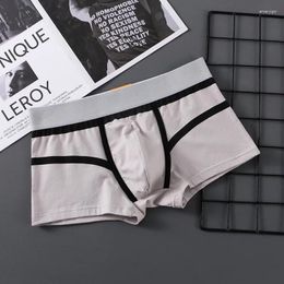 Underpants Men's U Convex Pouch Underwear For Young Boy Pure Cotton Aro Pant Simple Artistic Loose Breathable Crotch Mid Waist Boxer Shorts