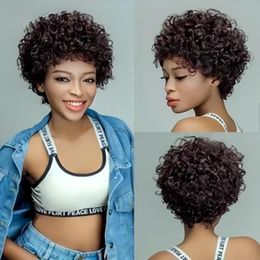 Short Afro Kinky Curly Human Hair Wigs for Black Women Brazilian Virgin Short Curly Wigs None Lace 150% Density Unprocessed Afro Wig Human Hair Curly Machine Made