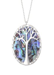 Nuova Fashion 925 Sterling Silver Tree of Life Pendant Natural Abalone Shell Colamour Glamour Women Weddy Weightry6141005