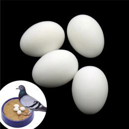 Nests 50 Pcs Products Simulation Bird Eggs Fake Pigeon Egg Aviculture Tools Plastic Nest Hatching Eggs
