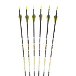 Arrow V1 Spine 350 400 450 500 600 700 800 900 Carbon Arrows Points Pin Nock Vanes for Compound Recurve Bow Longbow Archery Hunting