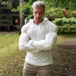 Men's Sweaters Fashion Winter Hooded Sweater Men Warm Turtleneck Mens Slim Fit Pullover Man Classic Sweter Knitwear Pull Homme