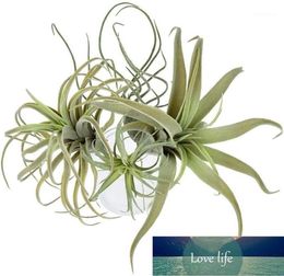 Decorative Flowers Wreaths 4Pack Artificial Pineapple Grass Air Plants Fake Faux Flocking Tillandsia Bromeliads Home Garden Deco8512406