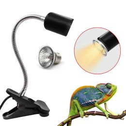 Lighting 220V Reptile Heat Lamp Bulb Lamp for Turtle Tortoises Heating Lamp Holder Thermometer Hygrometer Turtle Tortoises Basking