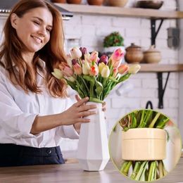 Vases Spiral Ikebana Stem Holder Reusable Arrangement Vase Bouquet Flower For Home And Office Decoration