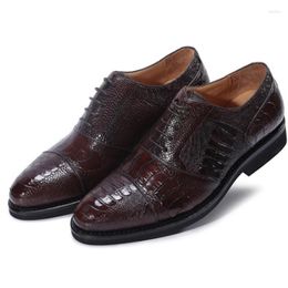 Casual Shoes Jineyu Men Business Leisure Ostrich Leather Menshoes Claw Skin Rubber Soles Lace-up