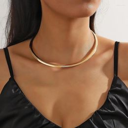 Choker European And American Ornament Niche Glossy Cold Style Personalised Metal Ring Clavicle Necklace