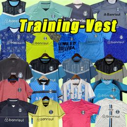 2023 2024 Gremio FBPA Soccer Jerseys COSTA FERREIRA Henrique GERMAN CANO BENITEZ 23 24 Morato Zeca Carlinhos Ernando Bruno Gomes training vest goalkeeper