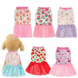 Dog Apparel Cartoon Printing Puppy Skirt Mesh Cat Dress Pet Lace Clothes For Small Dresses Chihuahua