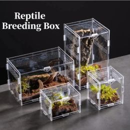 Terrariums Reptile Habitat Terrarium Breeding Box Acrylic Case Nano Arboreal Tarantula Enclosure Spider Scorpion Bearded Dragon Habitat