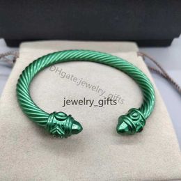 plated Designer Silver Luxury cable Bracelet Women twist Retro Colourful 925 Ethnic Circle Men Punk style Gold bracelets Designers Jewellery Suitable wrist 15-20cm EOJ