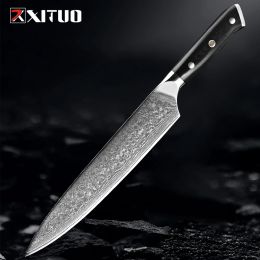 Professional Damascus Chef Knife 9 Inch Kitchen Knife Full-Tang G10 Handle Cooking Knife Japanese 67-Layer VG10 Steel Chef Knife