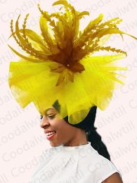 Kentucky Derby Big Fascinator Hat Women Wedding Elegant Feather Pillbox Cap Royal Party Headpiece Ladies Evening Church Chapeau