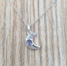 Silver Super Power Necklace With Amethyst Authentic 925 Sterling Silver pendants Fits European bear Jewelry Style Gift Andy Jewel 2688325