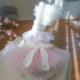 Dog Apparel Beautiful Pet Princess Dress Buttons Closure Cosplay Fadeless Sweet Cat Tulle Hem